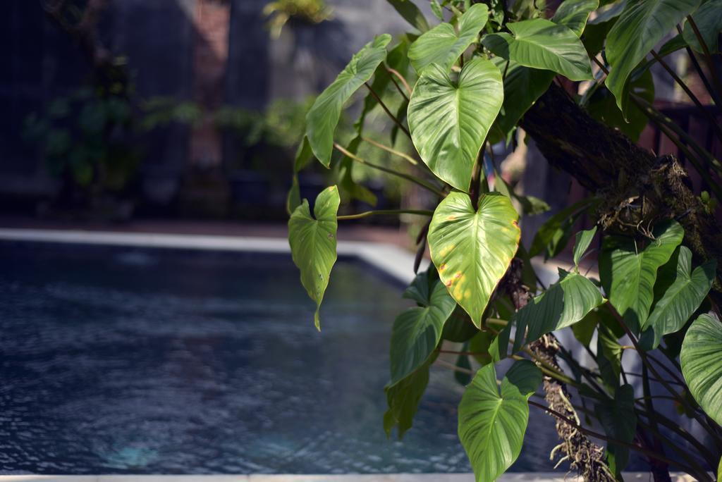 Wooden Villa By Prasi Ubud Eksteriør bilde
